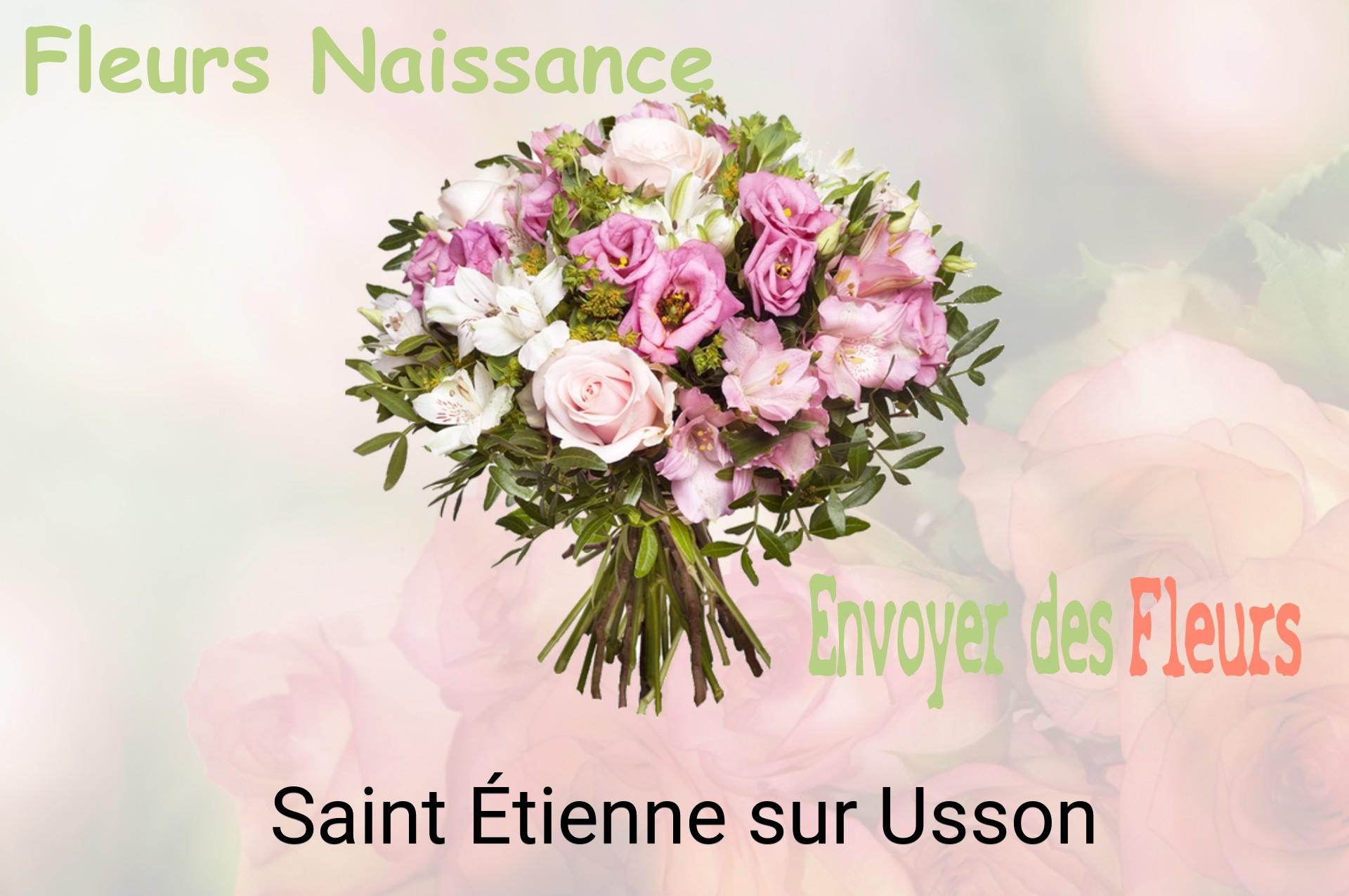 Bouquet de fleurs de naissance livré à Saint-Étienne-sur-Usson